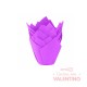 Tulipa Moldpack Violeta - Pack 50 Un.