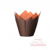 Tulipa Moldpack Marron - Pack 50 Un.