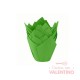Tulipa Moldpack Verde - Pack 50 Un.