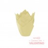 Tulipa Moldpack Beige - Pack 50 Un.