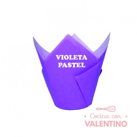 Tulipa Color Violeta Pastel - Pack 50 Un.