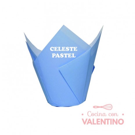 Tulipa Color Celeste Pastel - Pack 50 Un.