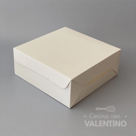 Caja Cartulina Delivery Sin Visor 19x19x8