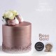 Colorante Dust Color Platinum Rose Gold