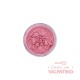Colorante Polvo Dust Color Platinum Nacarado Candy - 8 Grs