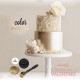 Colorante Dust Color Platinum Nacarado Oro Blanco - 8Grs