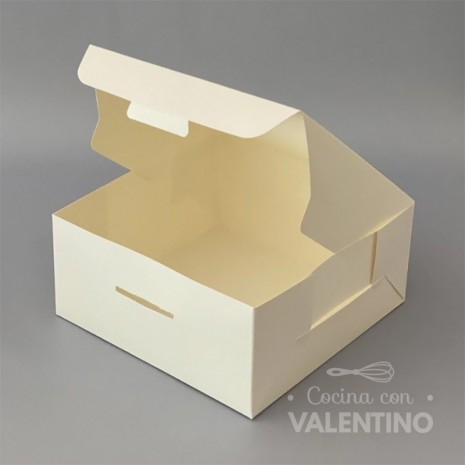 Caja Cartulina Delivery Sin Visor 22x22x10