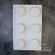 Placa Plastichok Flores x6 Margaritas y Peonias 1379