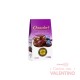 Arandano con Chocolate Semiamargo Chocolart - 80 Grs