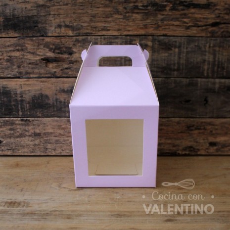 Valija Color c/Visor 12x11x13