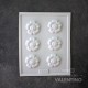 Placa Plastichok Flores x6 1593A