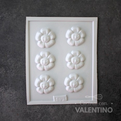 Placa Plastichok Flores x6 1593A