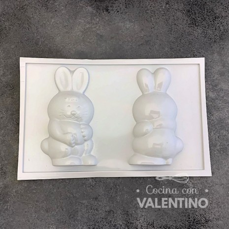 Placa Plastichok Conejo Frente y Dorso 1661C