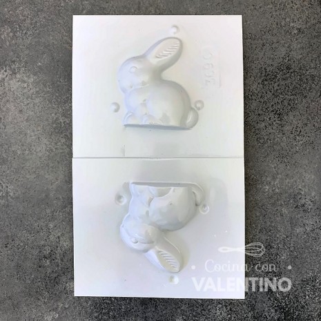 Placa Plastichok Conejo x2 369C