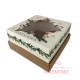 Caja Diseño Feliz Navidad con Visor Estrella 20x20x10cm