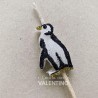 Vela Pingüino