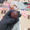Masterclass de licores artesanales y trufas de vino rosado con Eliana Vera