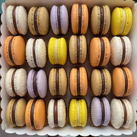 Clase de macarons navideños