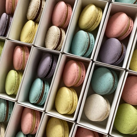 Clase de Macarons: Bases y Técnicas Esenciales