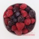 Fruta Congelada Gergal Mix de Berrys IQF - 500 Grs